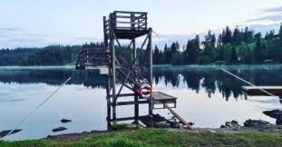 Dugnad - Badeplassen på Svea